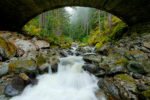 Nickel Creek, Mount Rainier National Park, Washington