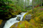 Nickel Creek, Mount Rainier National Park, Washington