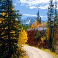 Tinges of Fall color on the Talimena Scenic Byway