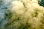 Tinges of Fall color on the Talimena Scenic Byway