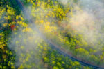 The beginnings of Fall color on the Talimena Byway