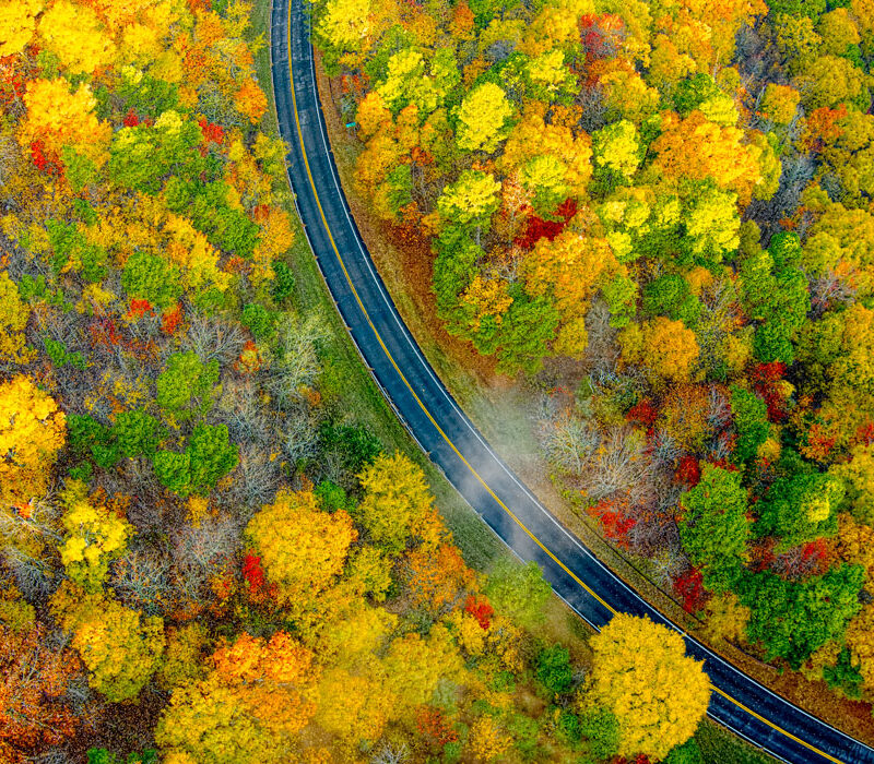 Fall color on the Talimena Scenic Byway, Oklahoma