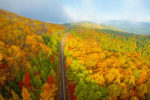 Fall color on the Talimena Scenic Byway, Oklahoma