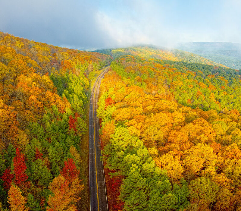 Fall color on the Talimena Scenic Byway, Oklahoma