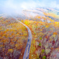 Fall color on the Talimena Scenic Byway, Oklahoma