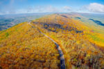 Fall color on the Talimena Scenic Byway, Oklahoma