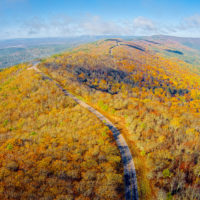 Fall color near the Talimena Scenic Byway