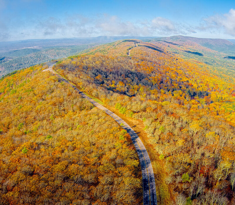 Fall color on the Talimena Scenic Byway, Oklahoma