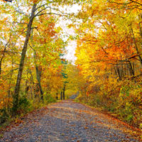 Fall Color on Long Lake