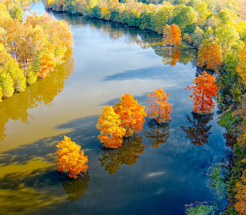 Fall Color on Long Lake
