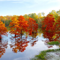 Fall Color on Long Lake