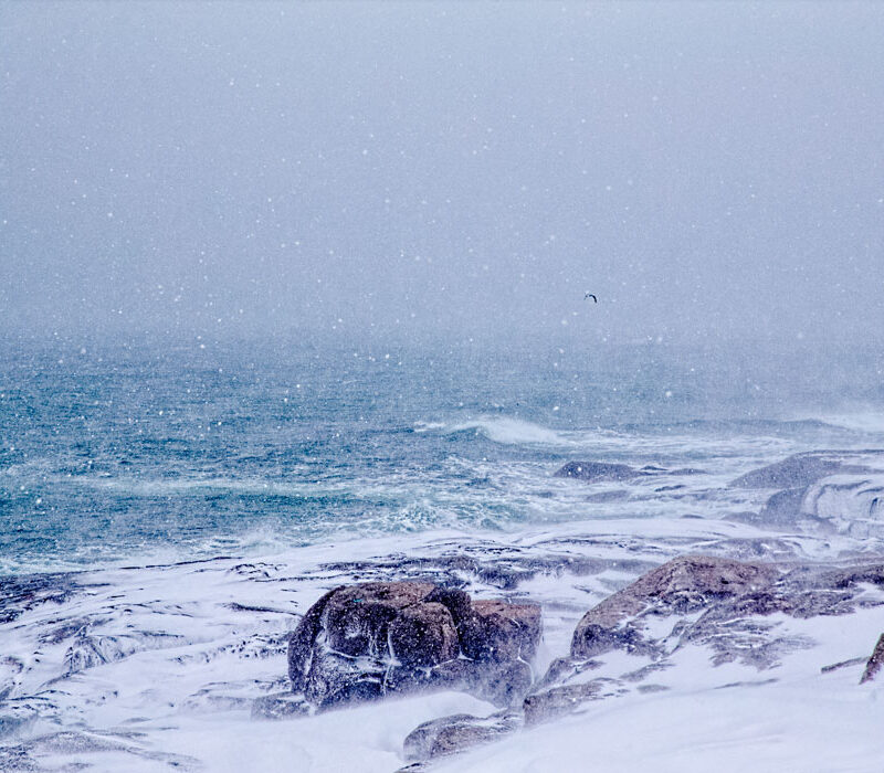 Coastal Snowstorm