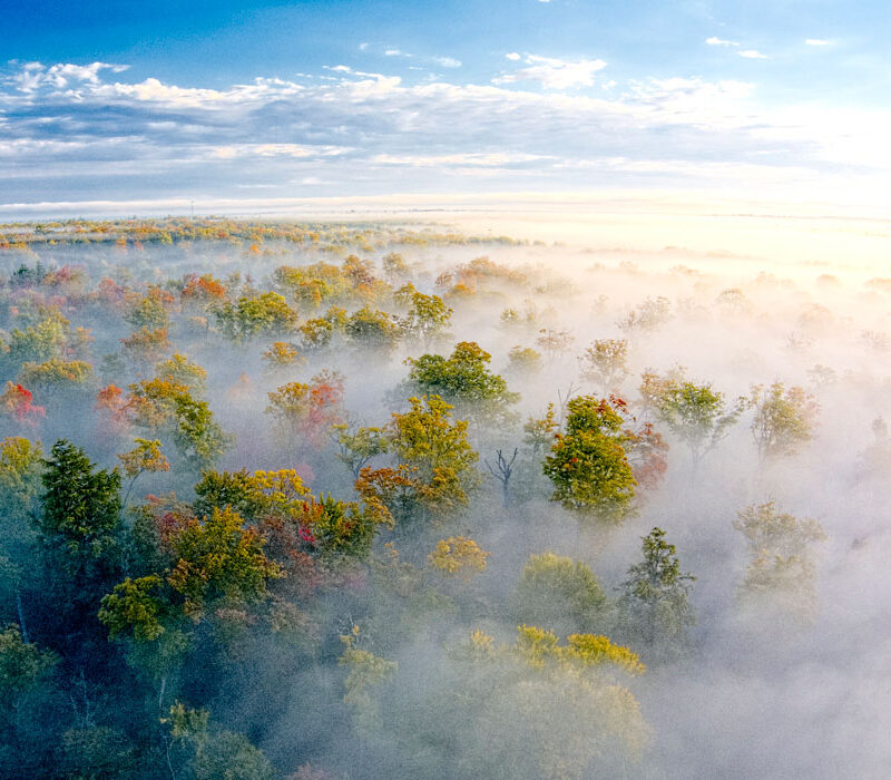 Early Morning Fog at Tahquamenon Falls State Park, Michigan