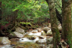New Hampshire Stream