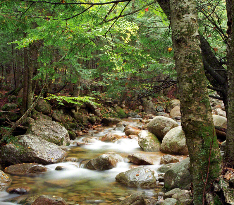 New Hampshire Stream