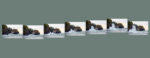 Cape Disappointment Wave Polyptych (5374) Cape Disappointment Wave Polyptych 5374