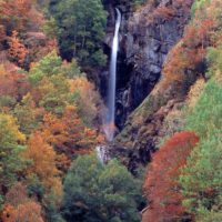 Silver Cascades in Autumn