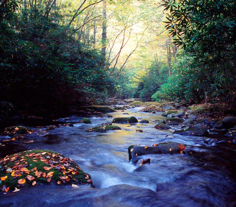 Eagle Creek, Great Smoky Mountains National Park