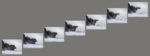 Cape Disappointment Wave Polyptych (7663 – parallel) Cape Disappointment Wave Polyptych (7663 - parallel)